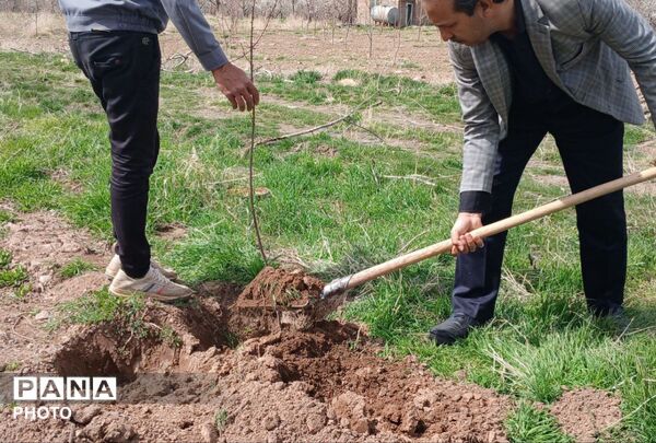 مراسم کاشت نهال در اردوگاه شهید رجایی شهرستان نیشابور