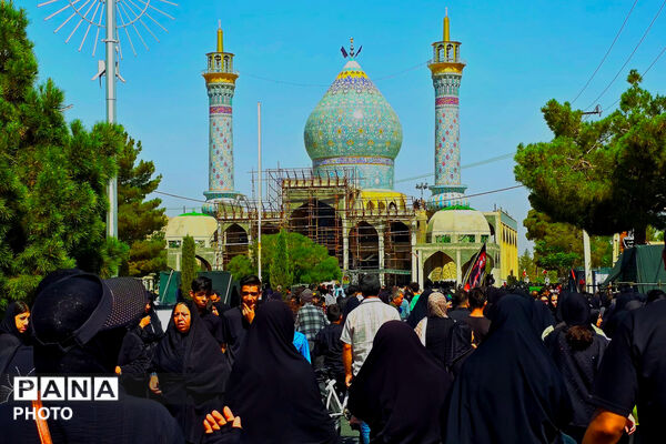 جلوه‌ای از عشق حسینی در پیاده‌روی اربعین شهر بهمن - 2