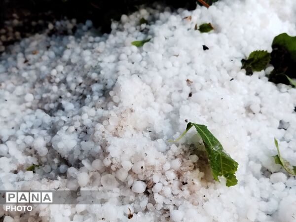بارش رحمت الهی همراه با تگرگ در شهرستان نیشابور 