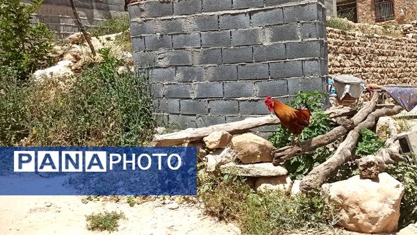 مسیر قارون تا قلعه مدرسه در واپسین لحظه‌های بهار