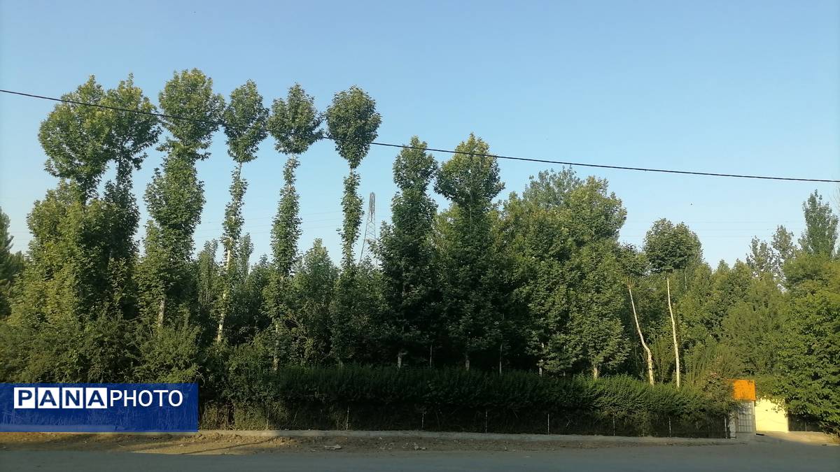 باغ بهادران؛ بهشت کوچکی در اصفهان