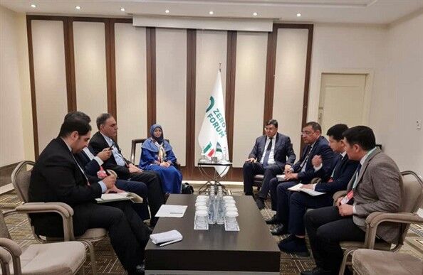 تشکیل کارگروه مشترک ایران و ازبکستان برای مقابله با گردوغبار و حفاظت از گونه‌های نادر 