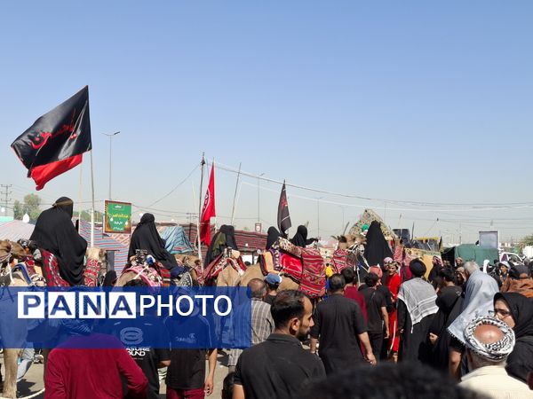 پیاده‌روی اربعین حسینی در کشور عراق 