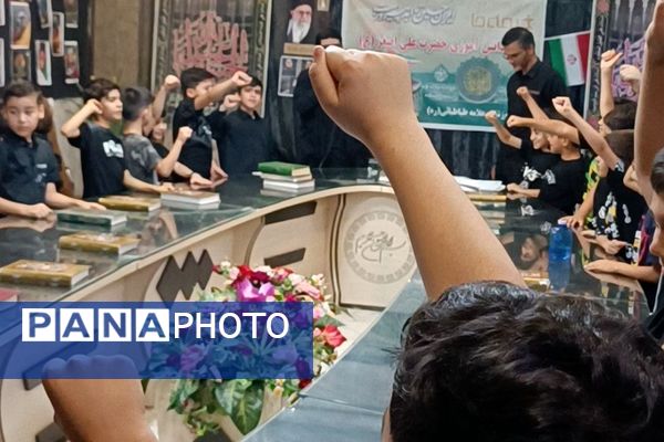 از کربلا تا ایران؛ روایت تابستان ایستادگی