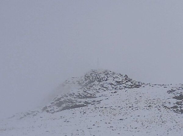 برف زمستانی، مهمان شهرستان کیار