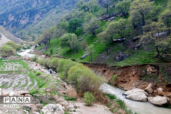 طبیعت دِراز‌رود؛ زیباترین تابلوی سبز لردگان