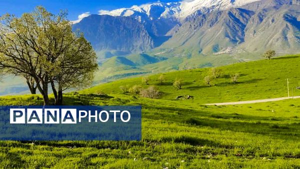طبیعت روستای بارز، طبیعتی زیبا در دل استان چهارمحال‌وبختیاری 
