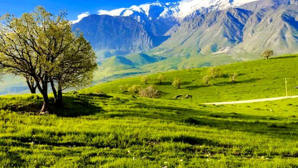 طبیعت روستای بارز، طبیعتی زیبا در دل استان چهارمحال‌وبختیاری 