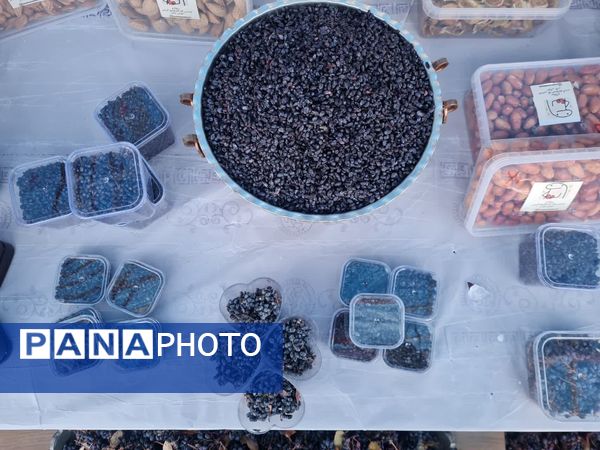 دومین جشنواره زرشک سیاه در روستای تیل شهرستان شبستر