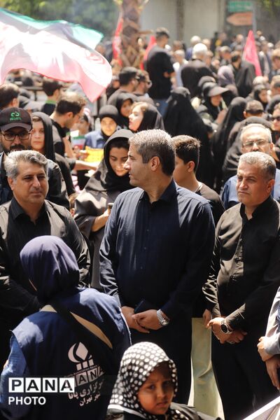 طنین «یا حسین» در مسیر دلدادگی؛ حضور پرشور جاماندگان اربعین در تهران