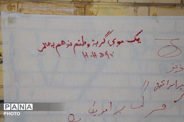 قیام عاشورایی مردم فهرج در هجدهمین عهد شبانه با علمدار انقلاب