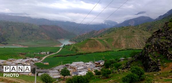 طبیعت بکر شوارز در روز بارانی 