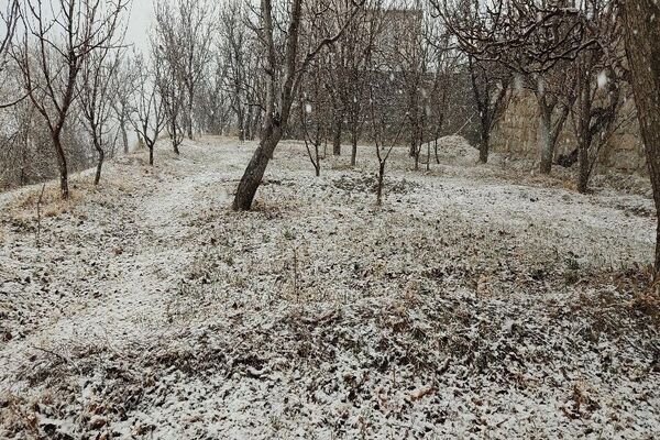 شروع اولین بارش برف زمستانی در بهمن ماه ۱۴۰۳ در شهر زیبای با‌ر