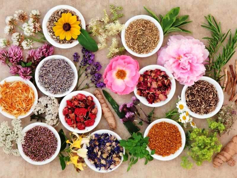 برای کاهش اضطراب در ایام امتحانات، خوراکی‌های خنک مصرف شود