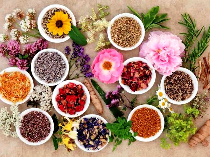 برای کاهش اضطراب در ایام امتحانات، خوراکی‌های خنک مصرف شود