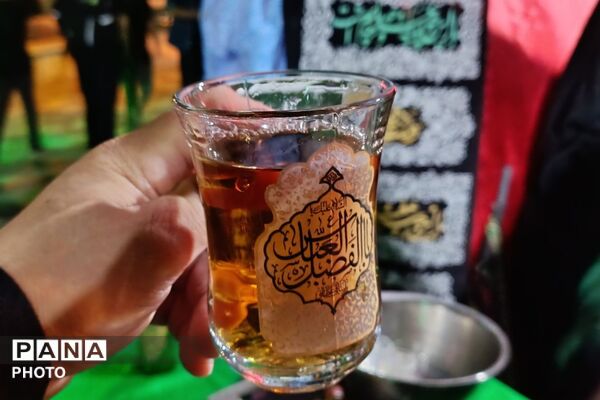ریحانه‌های جانفدا خدمت به مهمانان امام حسین(ع) را آغاز کردند