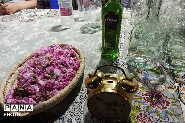 جشنواره گلاب گیری میناب با عطر شهدا 