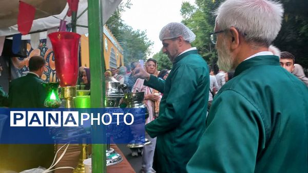 تهران در لباس سبز تولد امام رضا (ع) 