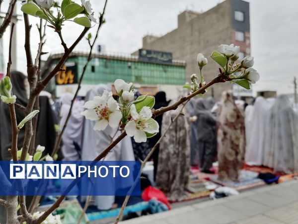  نماز عید فطر در شهرستان آبیک