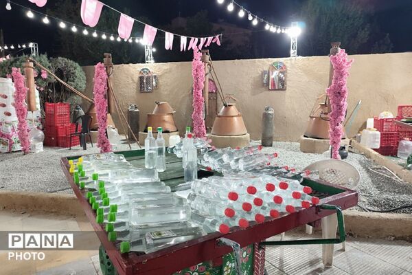 جشنواره گلاب‌گیری و صنایع‌دستی؛ پیوند عطر سنت و هنر ایرانی