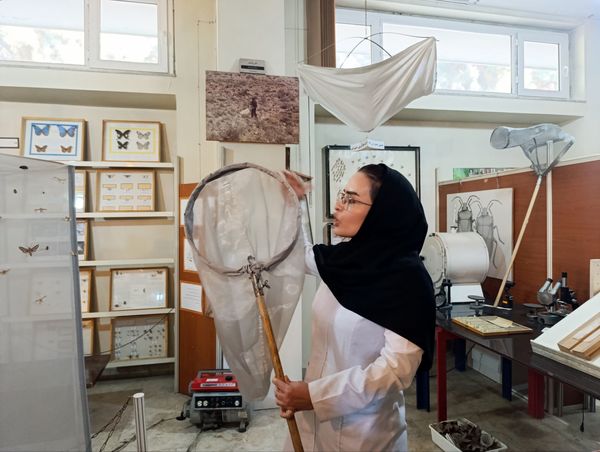 بازدید گروهی محور کشاورزی ، دامپروری ، شیلات از موسسه تحقیقات گیاه پزشکی کشور