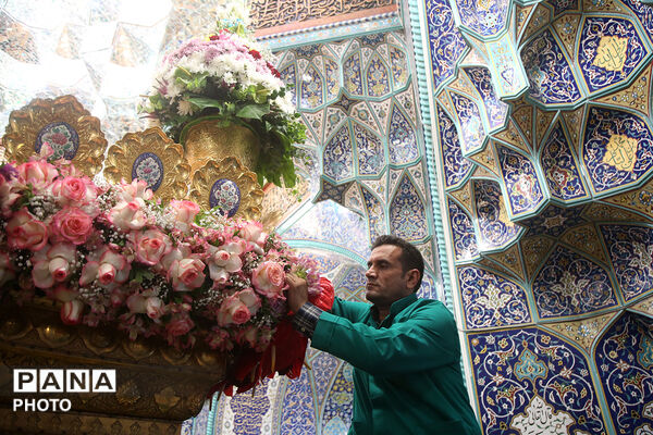 گل آرایی ضریح مطهر حضرت معصومه(س) در شب میلاد امام رضا(ع)