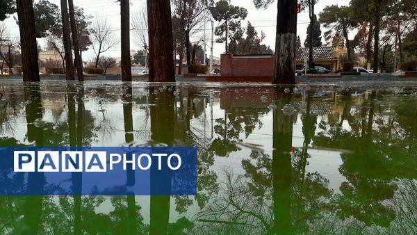 باران یزد؛ نوازشی بر پوست خاکی شهر و لبخندی بر لبان رهگذران