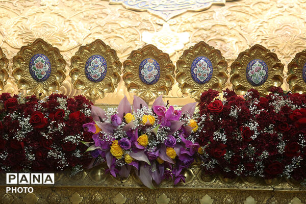 گل آرایی ضریح مطهر حضرت معصومه(س) در شب میلاد امام رضا(ع)