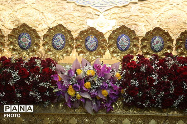 گل آرایی ضریح مطهر حضرت معصومه(س) در شب میلاد امام رضا(ع)