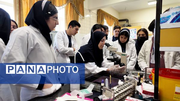 دوره‌های آموزشی هشتمین کارسوق ملی مهندسی ژنتیک در زنجان