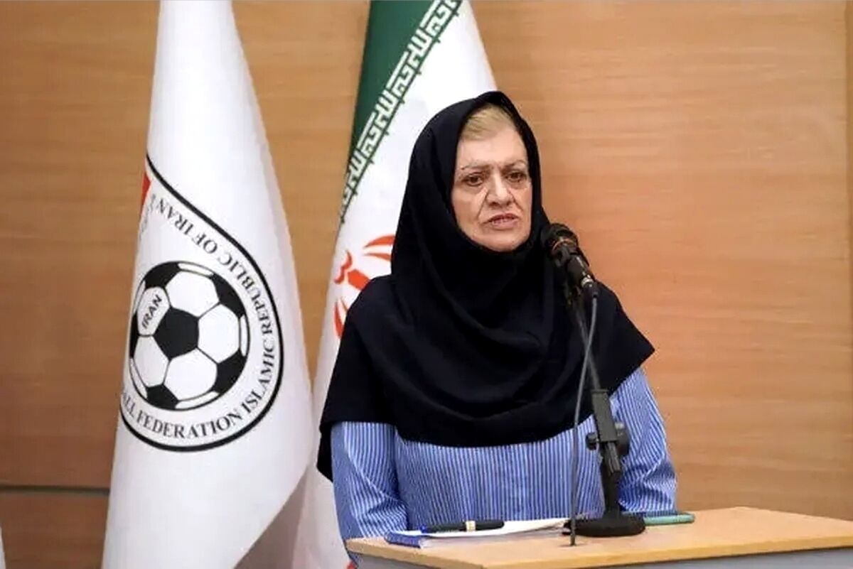 شجاعی: در حال رایزنی برای مسیر جایگزین بازگشت به کشور هستیم