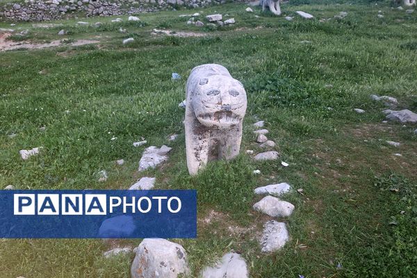 قبرستانی تاریخی و سرسبز به قدمت چند صد ساله در فارس