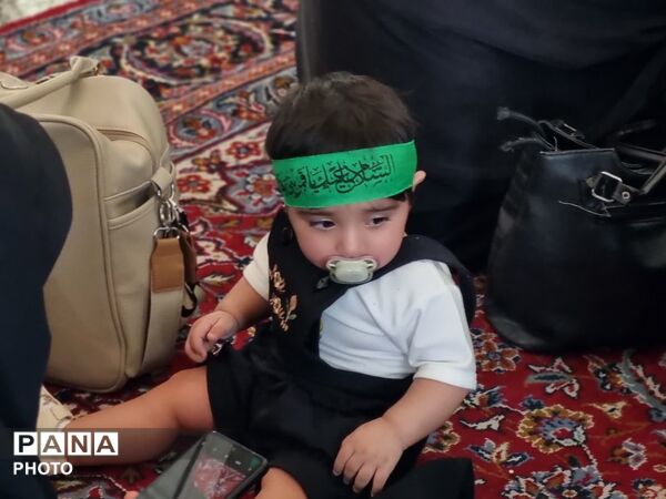 از گهواره تا کربلا؛ همایش شیرخوارگان حسینی در امامزاده کرار