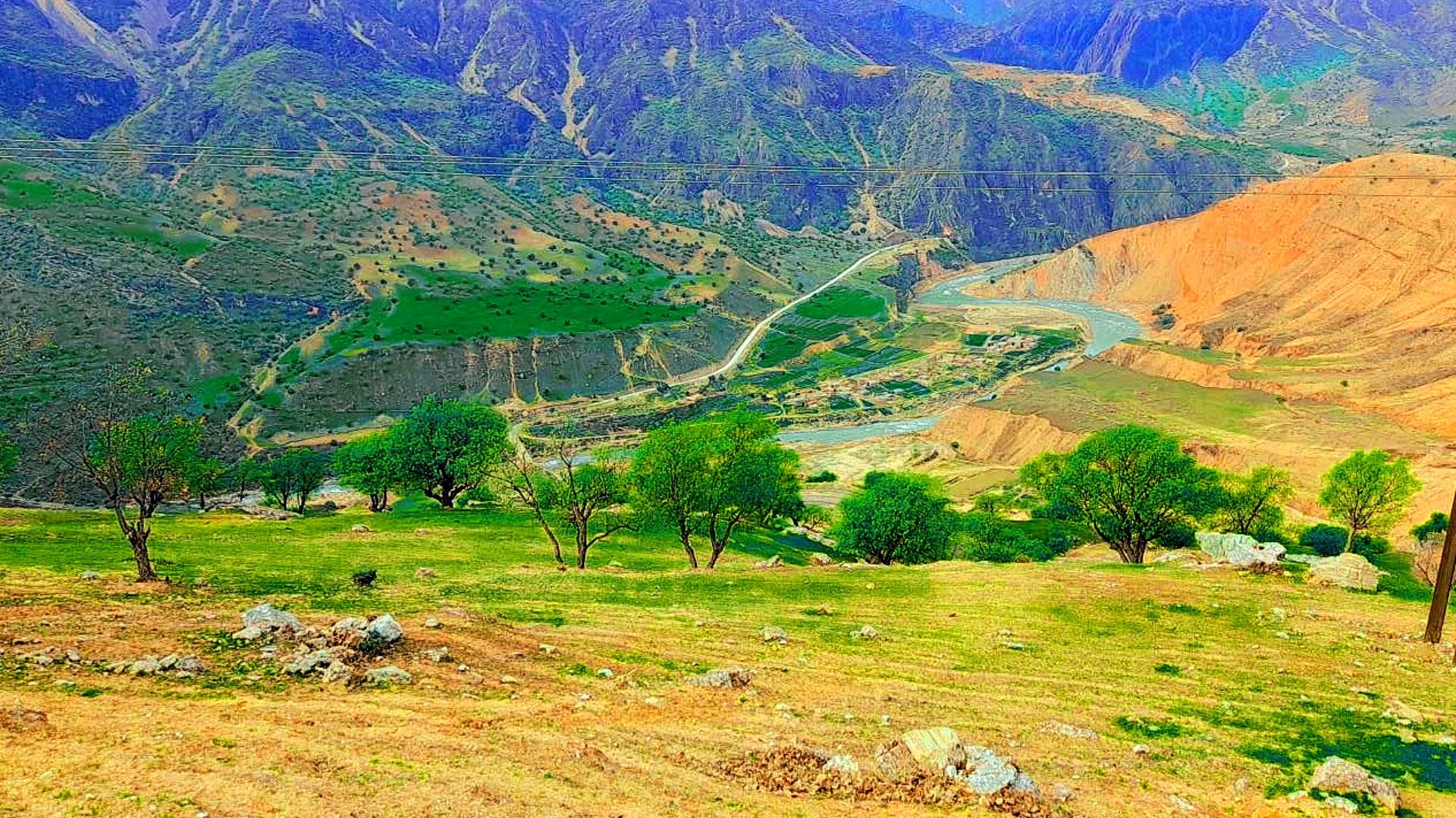 هنر در طبیعت نهفته است