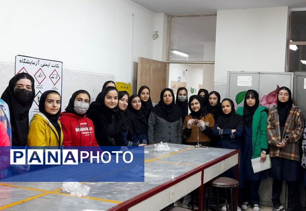 کارگاه تشریح قلب و آناتومی بدن انسان