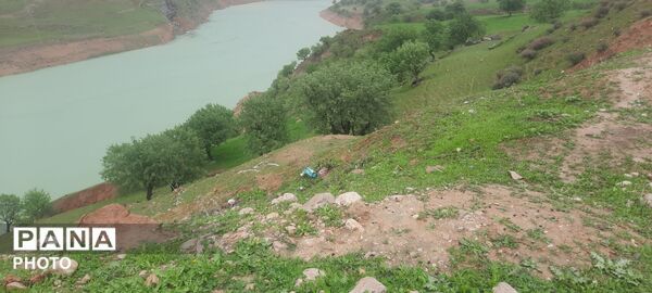 طبیعت بکر شوارز در روز بارانی 
