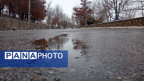 گرداب بن زیر چتر سپید برف