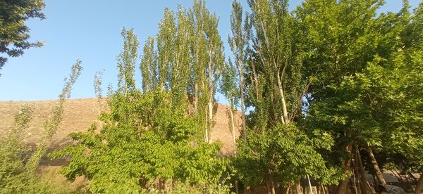 مزار گردشگری کلاته بایزید، گوهر پنهان طبیعت در دل کوهستان 