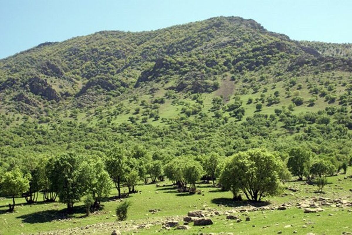 آفتکش‌های ممنوعه، قاچاق، تقلبی و تاریخ گذشته توقیف می‌شوند