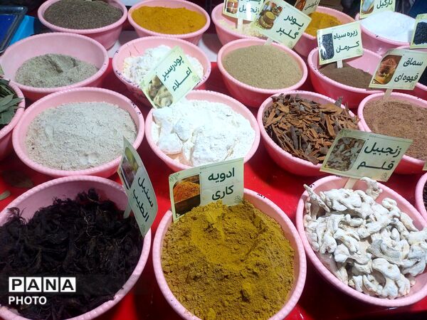 نمایشگاه گل و گیاه و سوغات در همدان