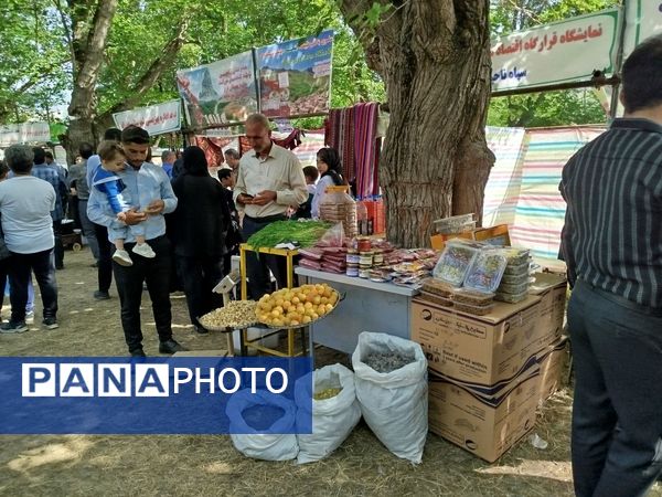 جشنواره توت سفید در هوراند