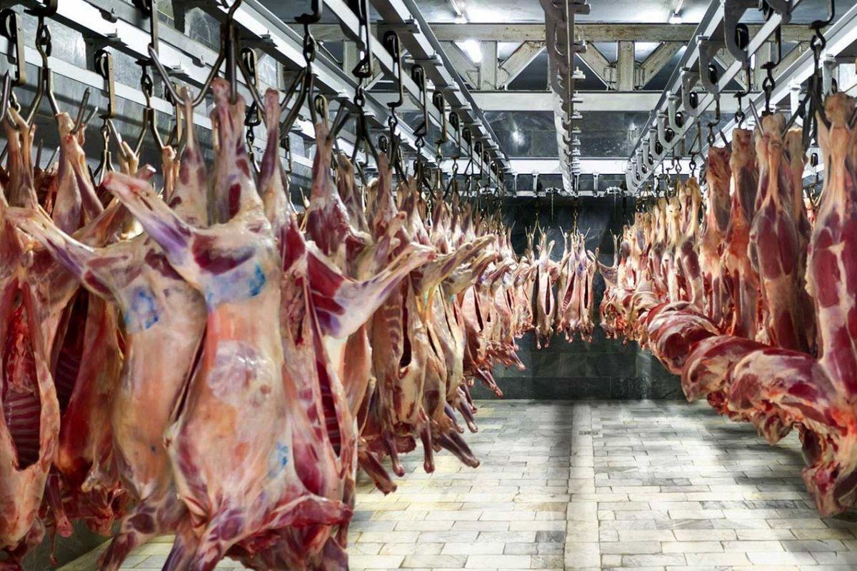 افزایش ۷ درصدی عرضه گوشت قرمز

