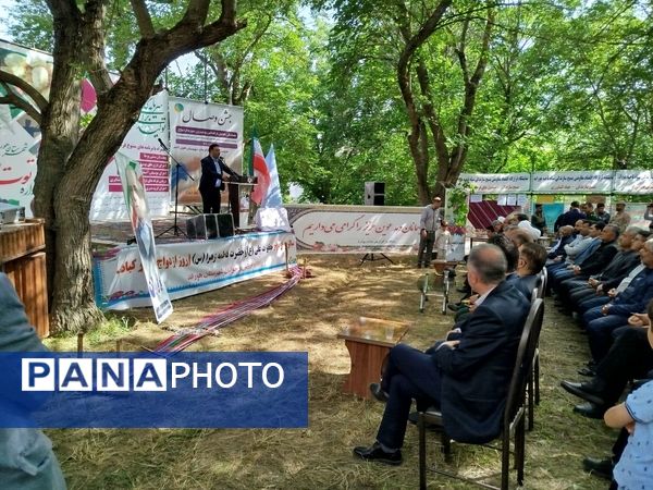 جشنواره توت سفید در هوراند