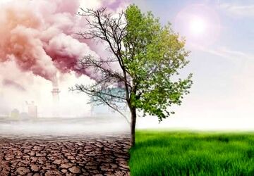 راهنمای عملی برای روزهای آلوده