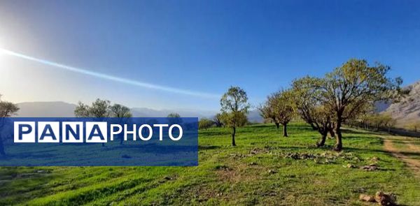 طبیعت سر سبز رفن به هنگام بهار