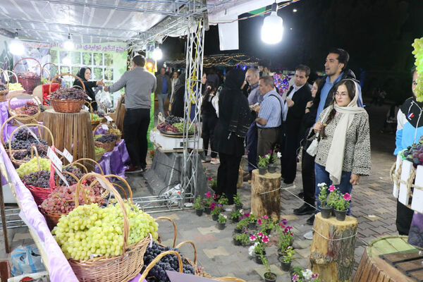 هشتمین جشنواره انگور ارومیه