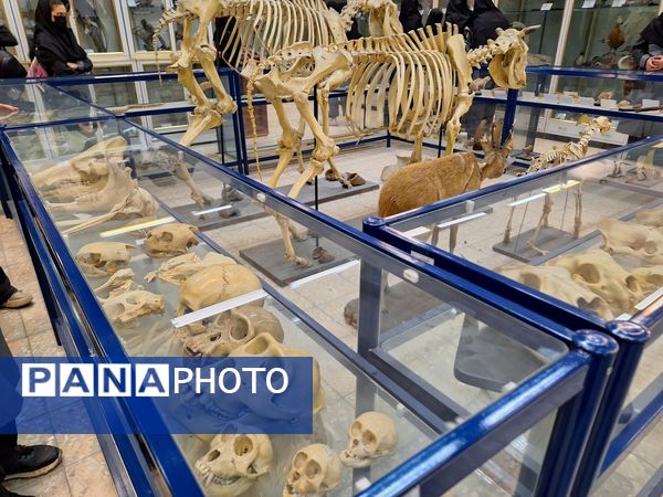 بازدید دانش‌آموزان از موزه زمین شناسی و جانور شناسی دانشگاه فردوسی مشهد