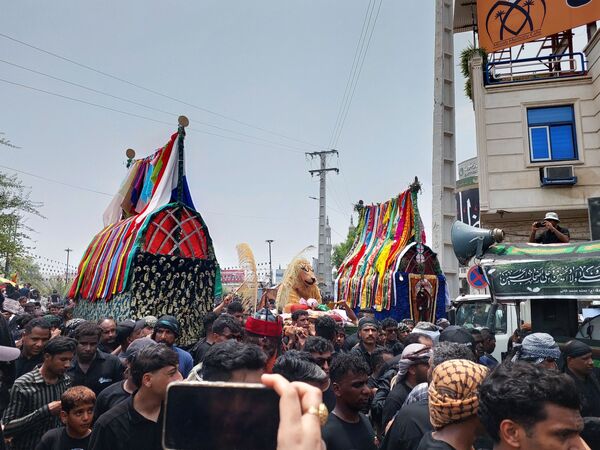 برگزاری آئین «شیر و کتل» در میناب 