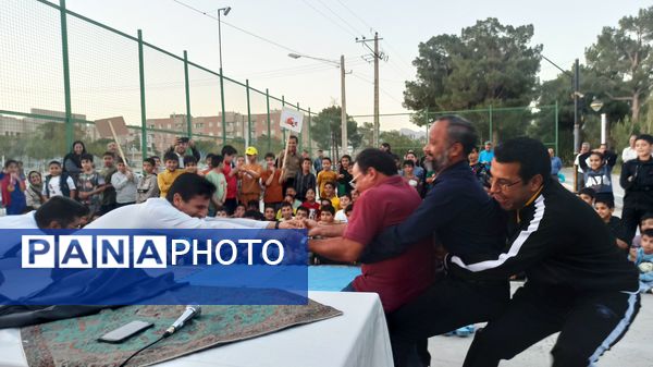 همایش پیاده‌روی خانوادگی در کاشمر 