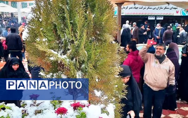 روز برفی گلزار شهدای کرمان 